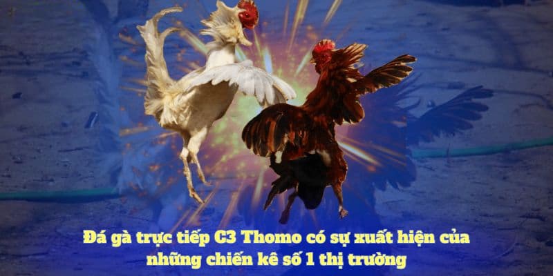 ảnh đại diện đá gà c3