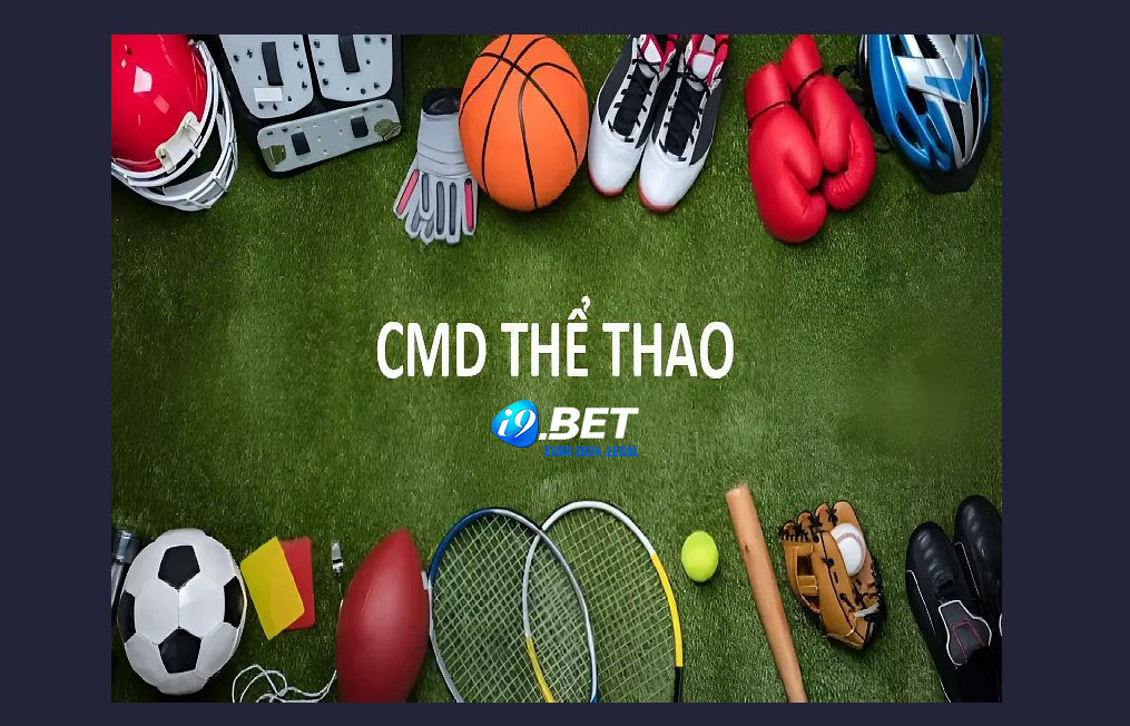 Các loại hình thể thao được yêu thích tại Cmd thể thao